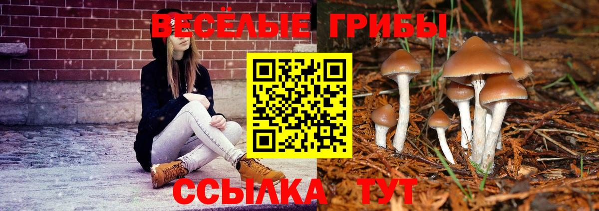 Галлюциногенные грибы MAGIC MUSHROOMS  Вход с VPN  Нерюнгри  Псилоцибиновые грибы мицелий 